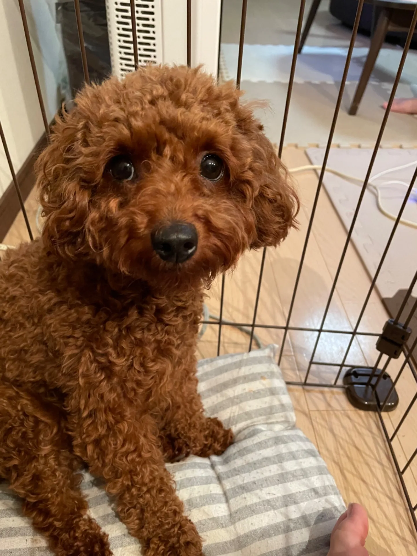 (株)大西組、共に笑い合える職場です！[求人！石川県で型枠大工、大募集！]