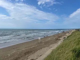 型枠大工さんの休日？